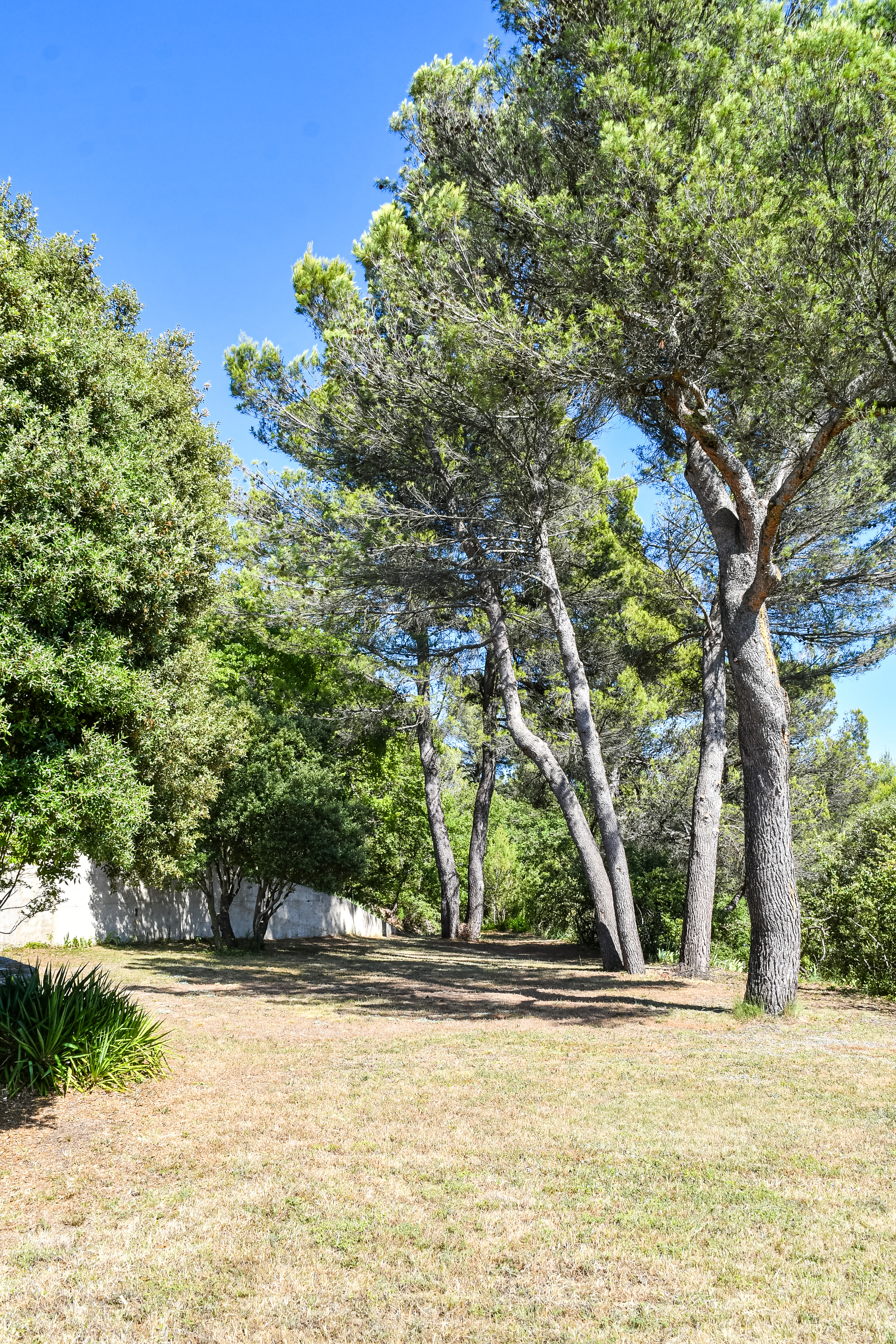 Le Domaine du Coulet de Plumes